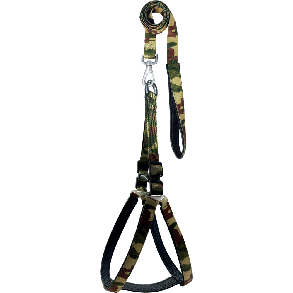 Poly Print Padded Leash & Harness Set for Dogs