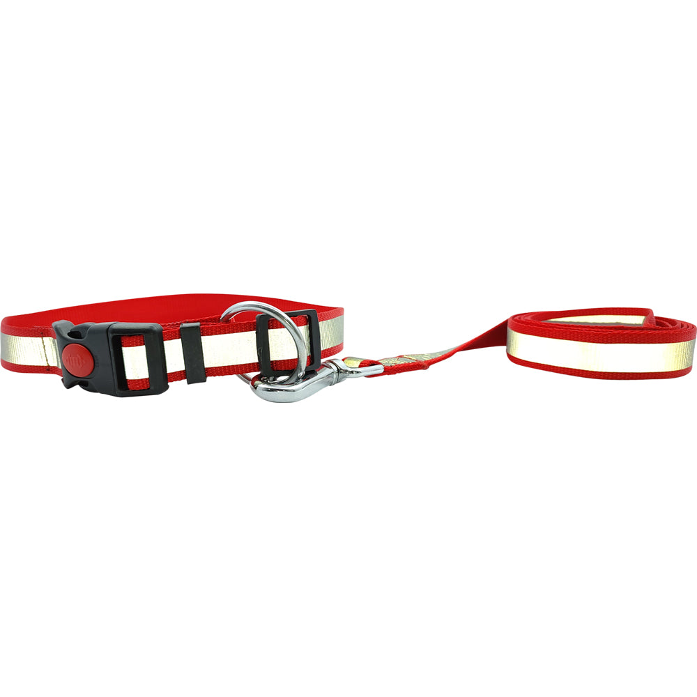 High-Visibility Reflective Dog Collar and Leash Set | Heavy-Duty Nylon