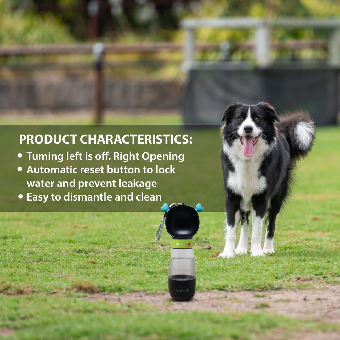 Nunbell 2 in 1 Water and Food Dispenser