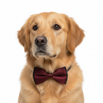 Load image into Gallery viewer, Bow Collar Double Color for Pets (Color May Vary)