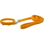 Load image into Gallery viewer, Premium Polypropylene Dog Collar &amp; Leash Set