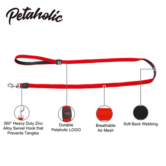 Petaholic Air Mesh Series Dog Leash