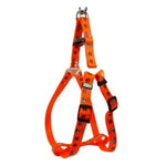 Load image into Gallery viewer, Leash &amp; Harness Set for Pets – Soft Nylon Printed, Durable &amp; Comfortable (Color May Vary)