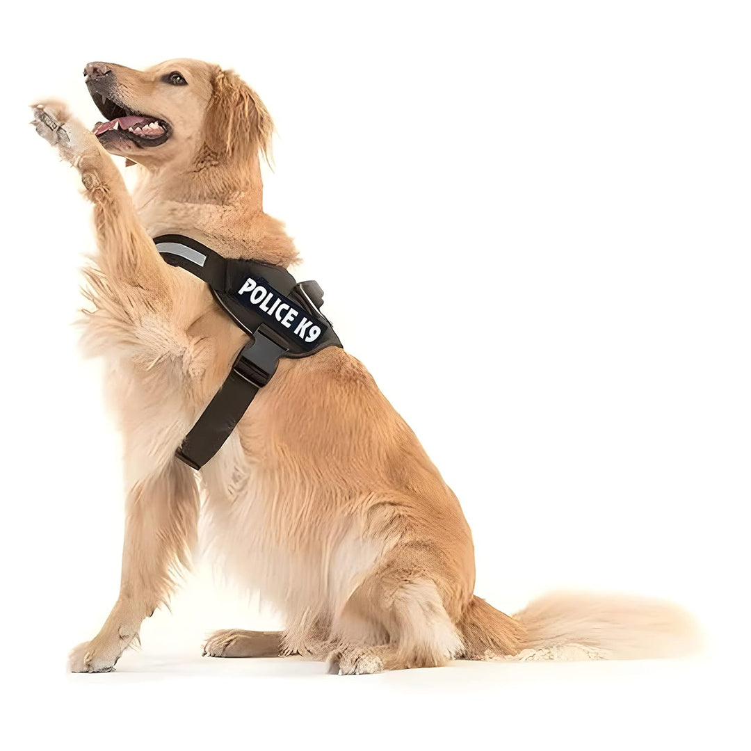 Army Dog Harness
