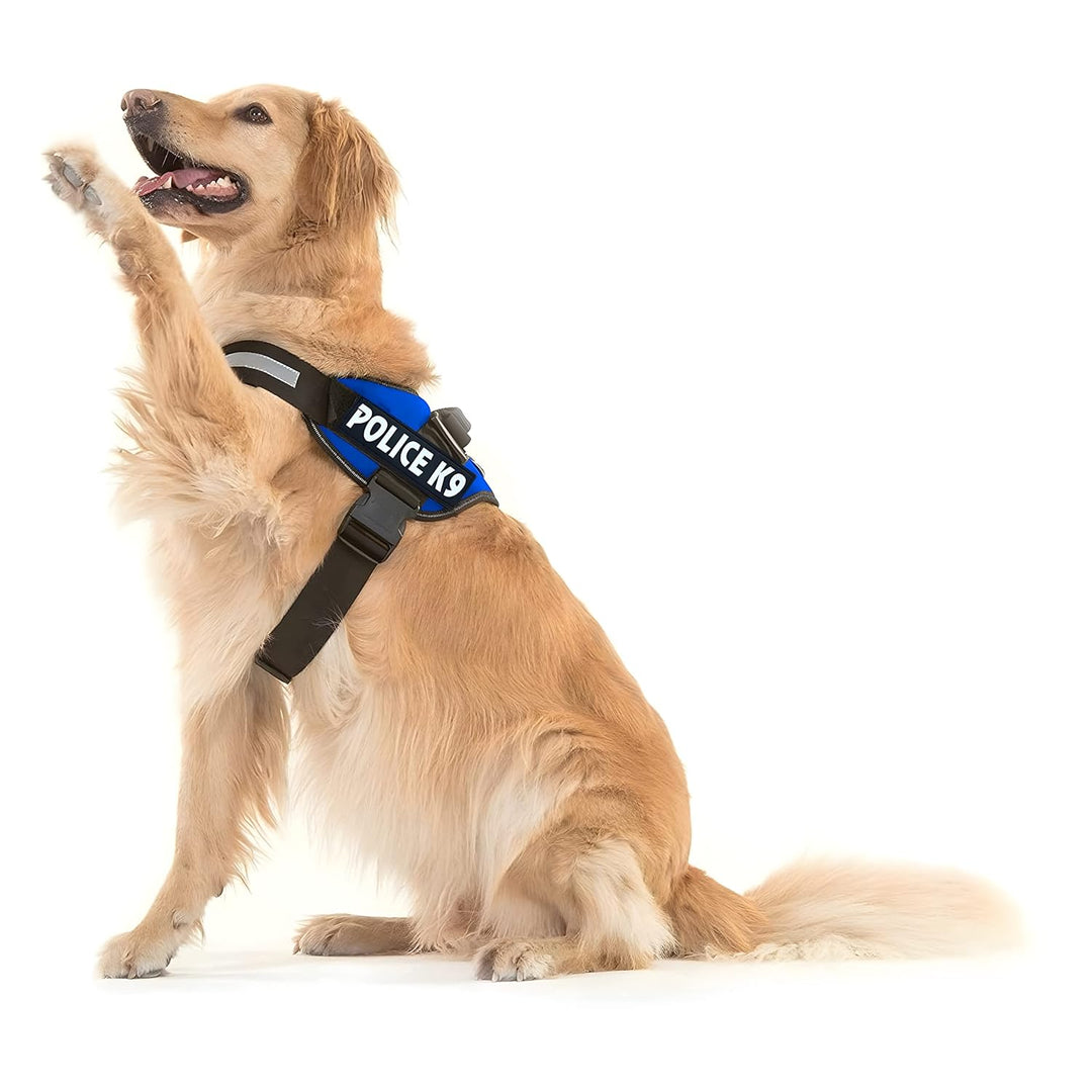 Army Dog Harness