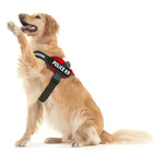 Load image into Gallery viewer, Army Dog Harness