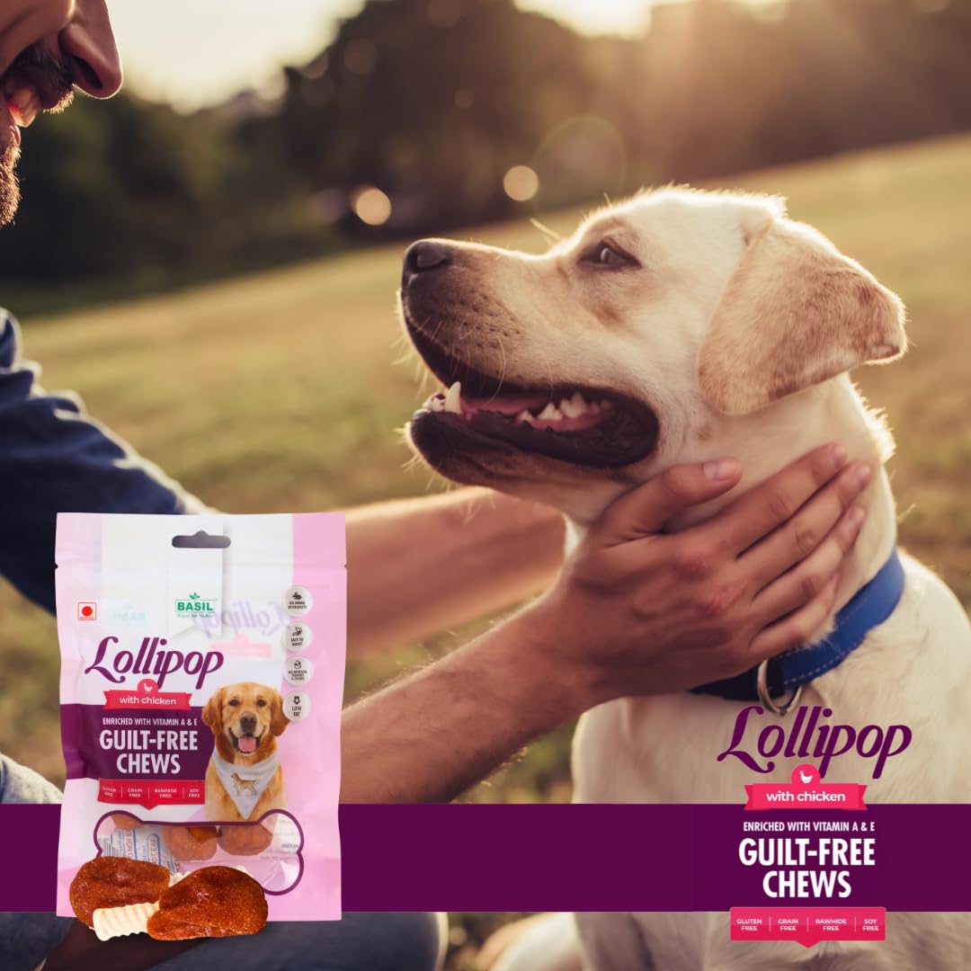 Basil Chicken Lollipop Guilt-Free Dog Treats (92g)