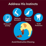 Load image into Gallery viewer, Basil Calcium Bone Dog Chews (100g)