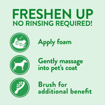 Load image into Gallery viewer, Basil Moisturising Foam Dry Bath Shampoo for Dogs &amp; Cats – 150ml | Waterless Pet Shampoo with Aloe Vera &amp; Conditioner