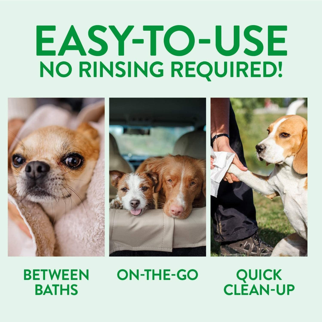 Basil Moisturising Foam Dry Bath Shampoo for Dogs & Cats – 150ml | Waterless Pet Shampoo with Aloe Vera & Conditioner