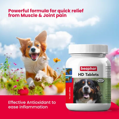 Beaphar HD Tablets for Dogs (60 Tablets) - Hip & Joint Support