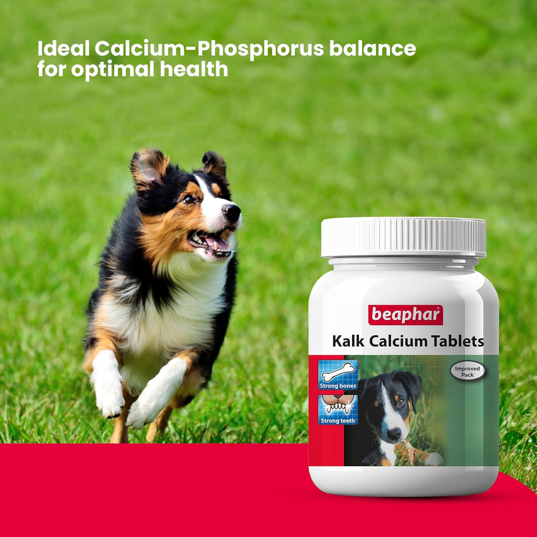Beaphar Kalk Calcium Tablets for Dogs & Cats – Strong Bones & Healthy Teeth