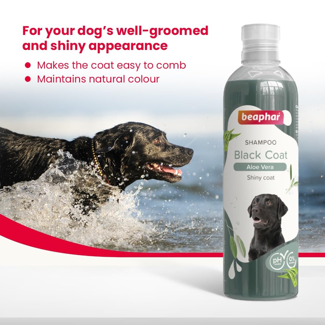 Beaphar Black Coat Dog Shampoo (Aloe Vera) – 250ml