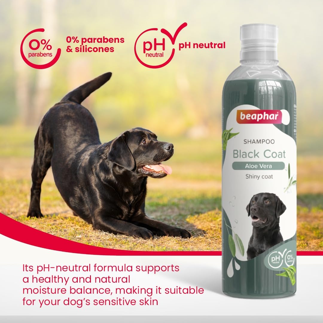 Beaphar Black Coat Dog Shampoo (Aloe Vera) – 250ml