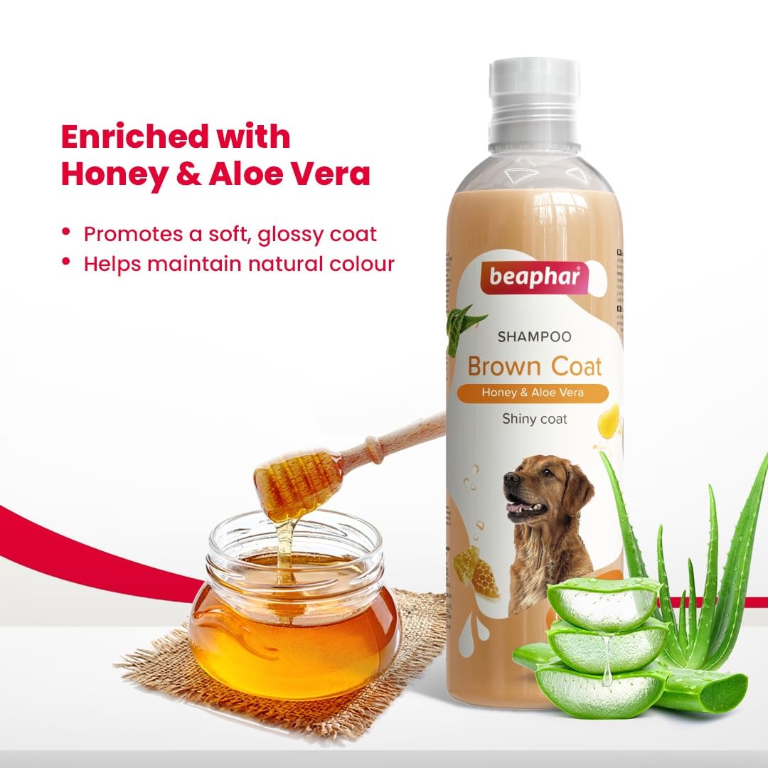 Beaphar Shampoo Brown Coat Honey & Aloe Vera - 250ml