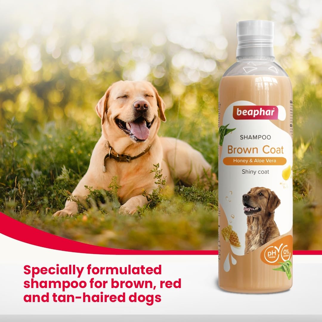Beaphar Shampoo Brown Coat Honey & Aloe Vera - 250ml