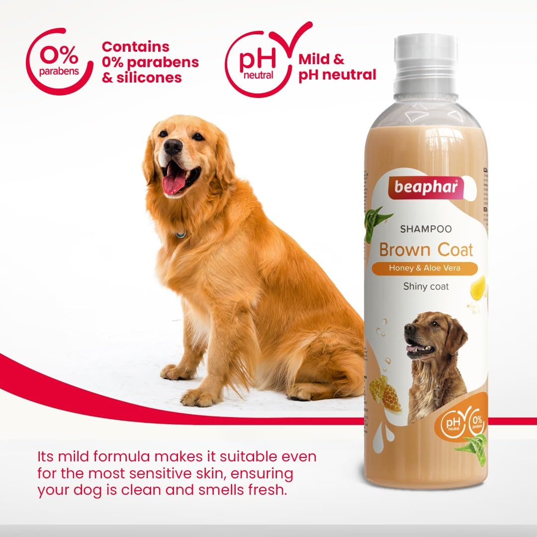 Beaphar Shampoo Brown Coat Honey & Aloe Vera - 250ml