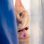 Load image into Gallery viewer, Smarty Pet Colorful Jingle Bells for Cat &amp; Dog Collars (Pack of 2)