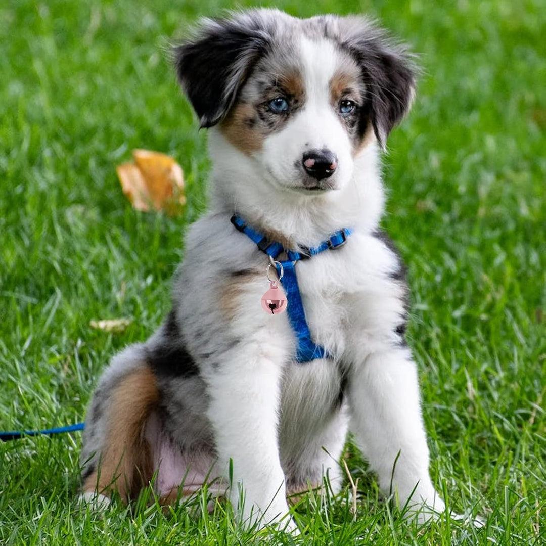 Smarty Pet Colorful Jingle Bells for Cat & Dog Collars (Pack of 2)