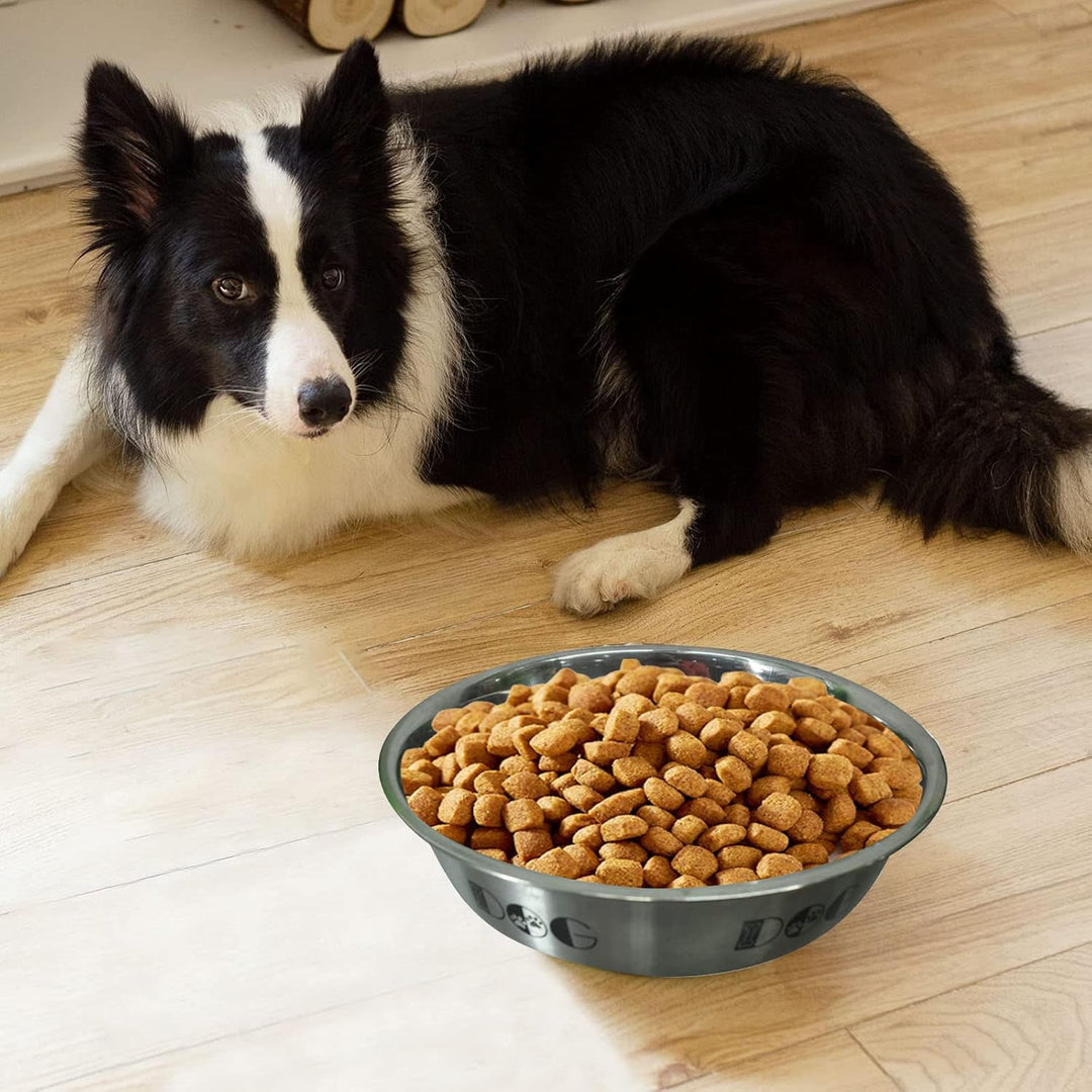 Belly Bowl for Pets