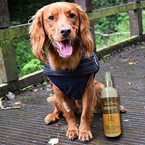 Bio Clean Dry Shampoo Forest Safari for Cats & Dogs - 225ml