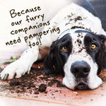 Load image into Gallery viewer, Bio Clean Dry Shampoo Forest Safari for Cats &amp; Dogs - 225ml