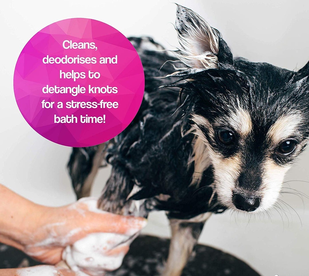 Bio Clean Long Coat Shampoo for Cats & Dogs