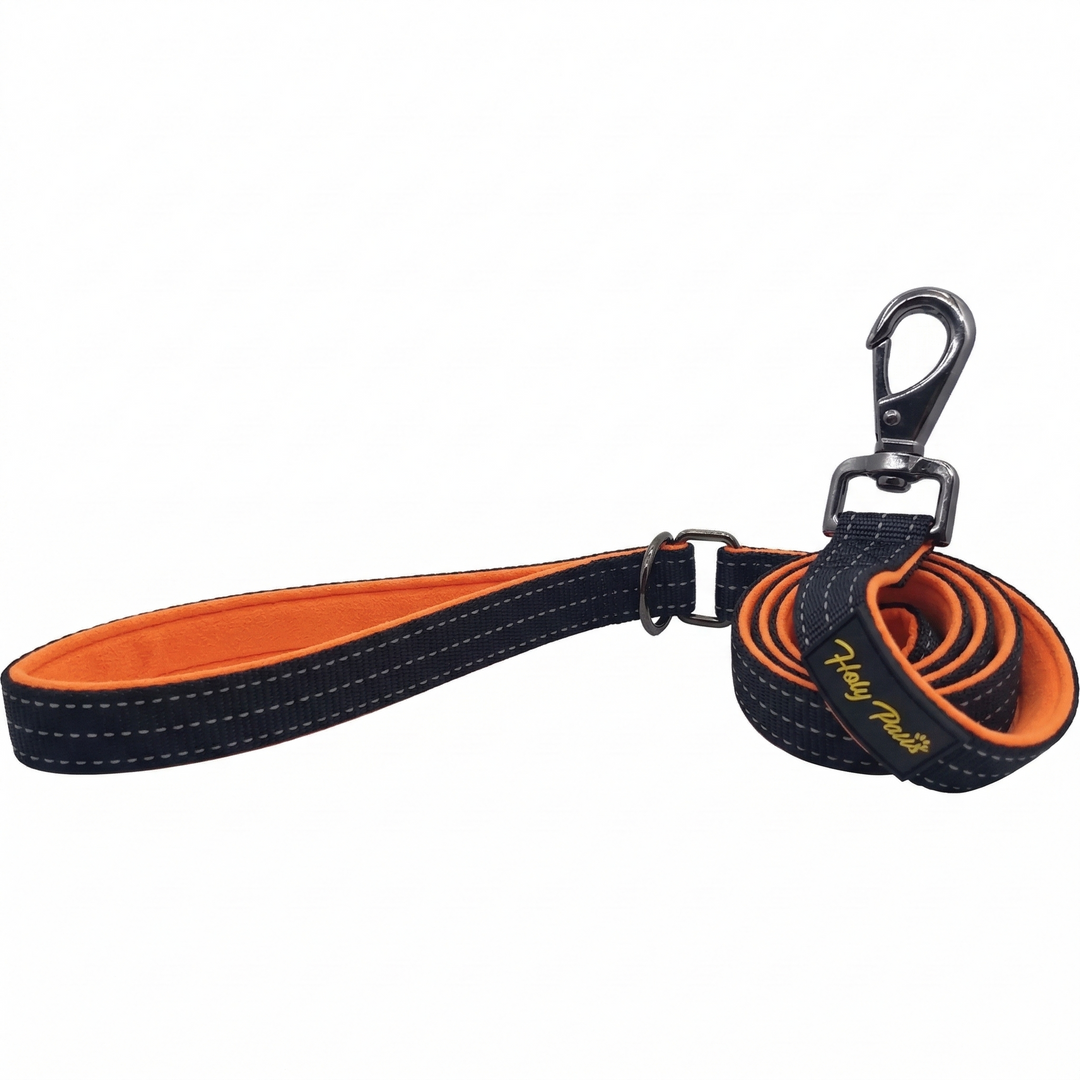 Holy Paws Plus Leash