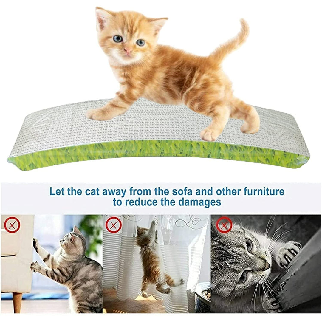 Cat Cardboard Scratcher-Slim Arch