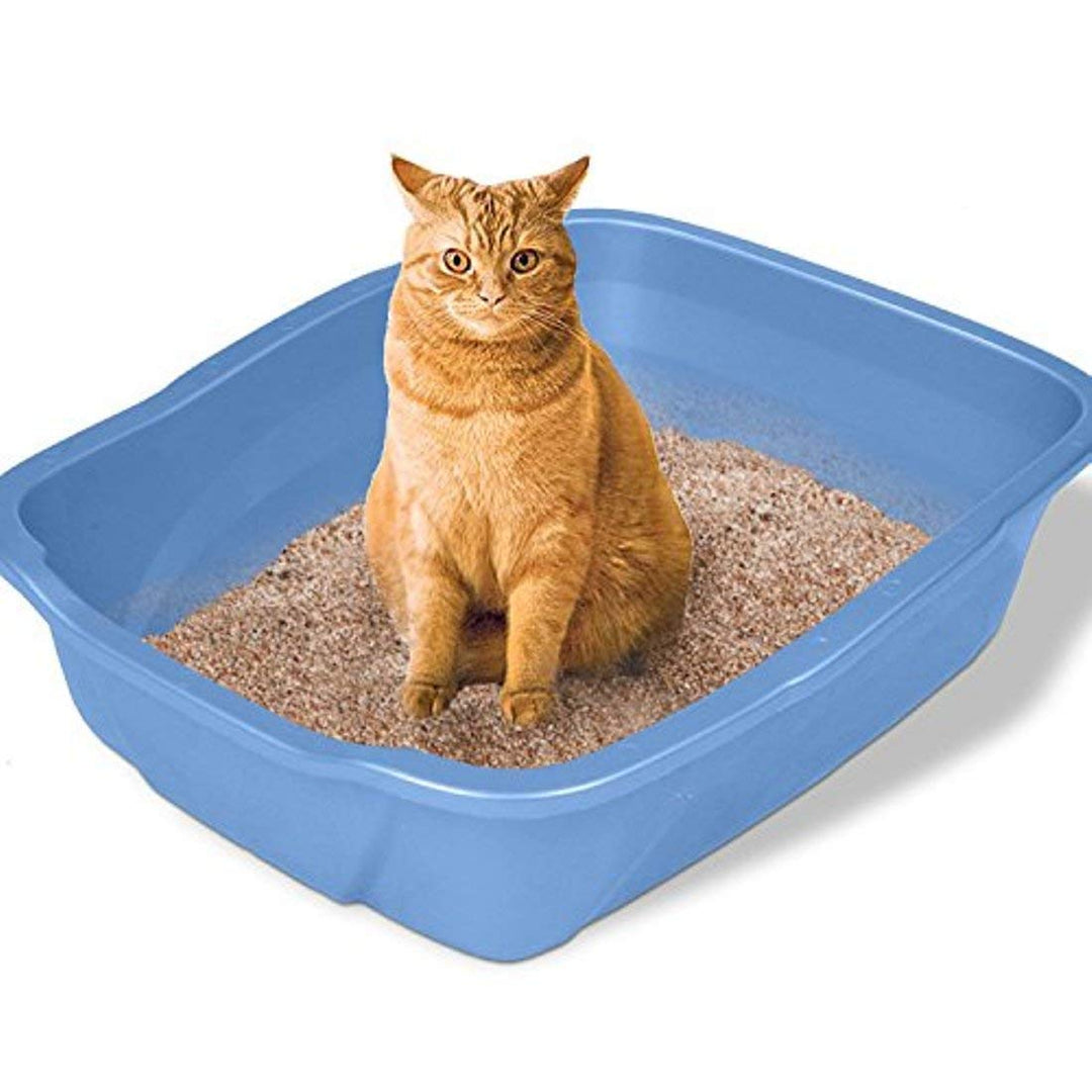 Cat Litter-5 Kg - Fragrance (Lemon)