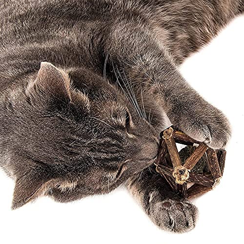 Cat Nip Toy - Ball in Shell