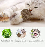 Load image into Gallery viewer, Cat Nip Toy - Ball with Feathers