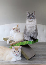 Load image into Gallery viewer, Cat Cardboard Scratcher-X-Cross