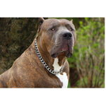 Load image into Gallery viewer, Heavy-Duty Chrome-Plated Dog Grinded Choke Chain