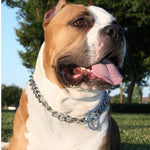 Load image into Gallery viewer, Heavy-Duty Chrome-Plated Dog Grinded Choke Chain