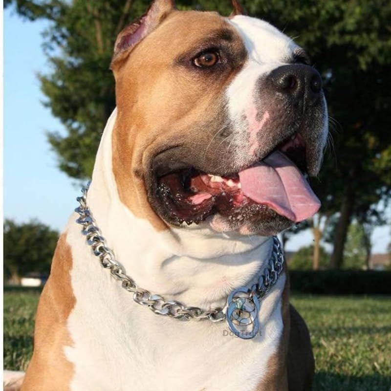 Heavy-Duty Chrome-Plated Dog Grinded Choke Chain
