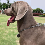Load image into Gallery viewer, Heavy-Duty Chrome-Plated Dog Grinded Choke Chain