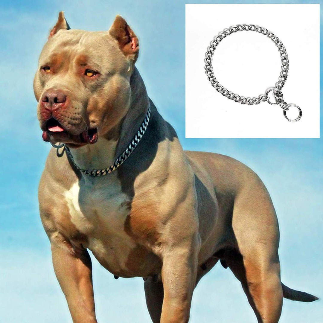 Heavy-Duty Stainless Steel Choke Chain Dog Training Collar