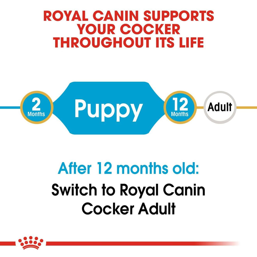 Royal Canin Cocker Puppy Dry Food - 3Kg