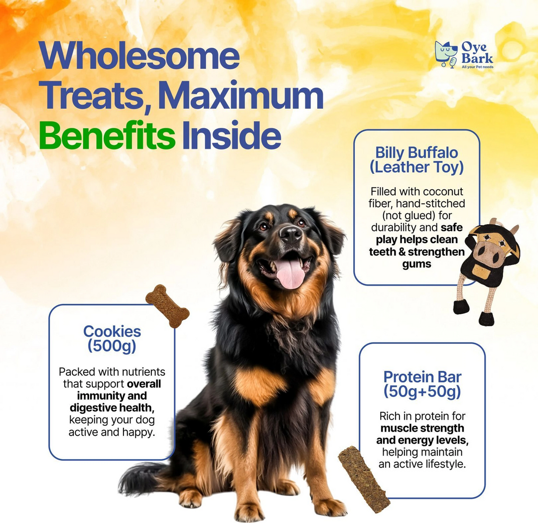 Oye Bark WagBites Dog Gift Combo Pack (5-in-1)
