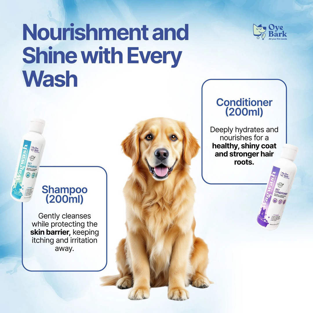 Oye Bark WagBites Dog Gift Combo Pack (5-in-1)