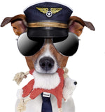 Load image into Gallery viewer, Crackling Bunny for Dogs (Color May Vary)