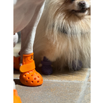 Load image into Gallery viewer, Waterproof Dog Crox Shoes – Breathable Anti-Slip Pet Sandals (Size XL)
