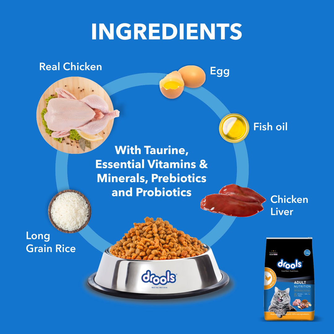 Drools Adult Cat Dry Food, Real Chicken & Egg - 1.2kg