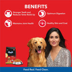Load image into Gallery viewer, Drools Chicken and Egg Adult Dry Dog Food - 3kg