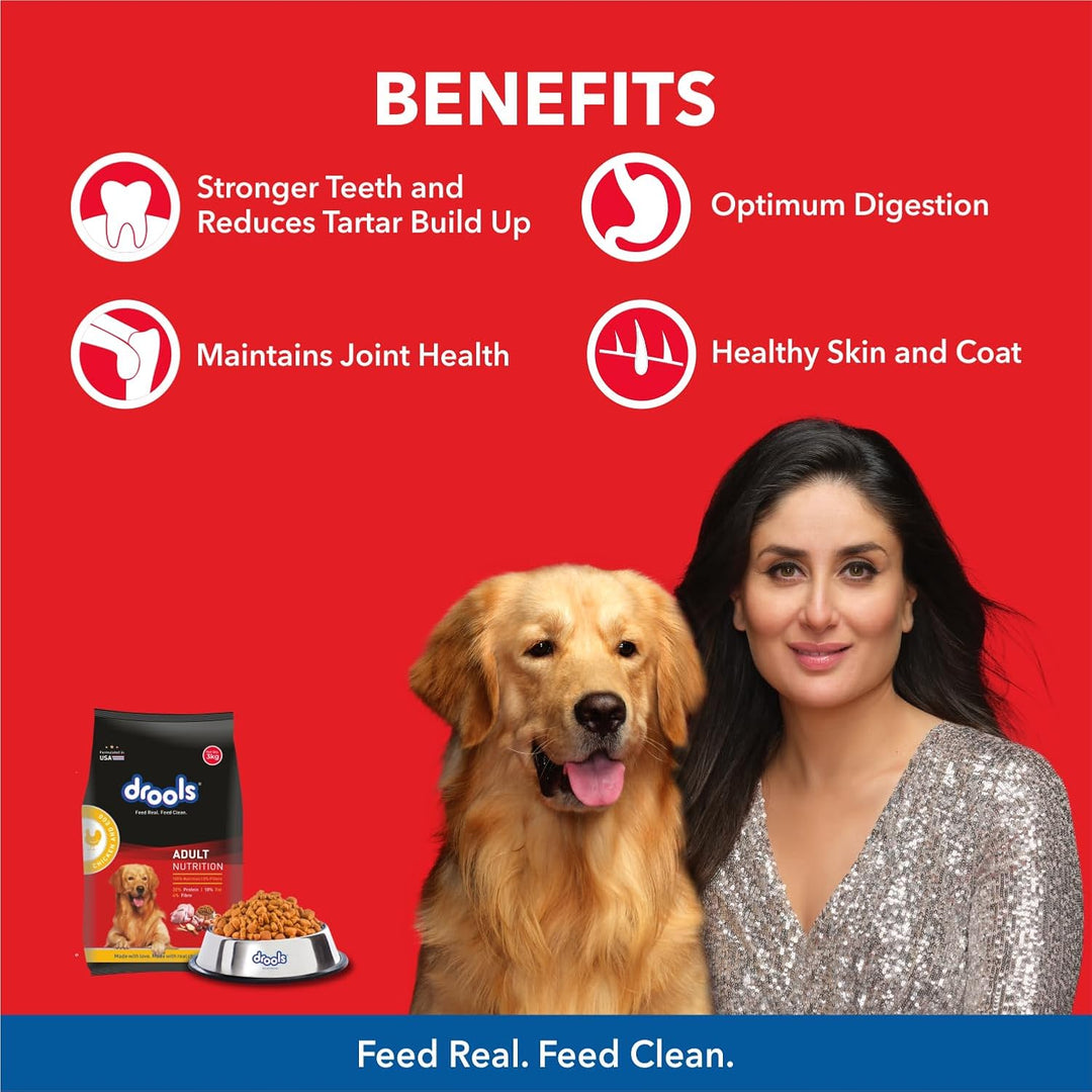 Drools Chicken and Egg Adult Dry Dog Food - 3kg