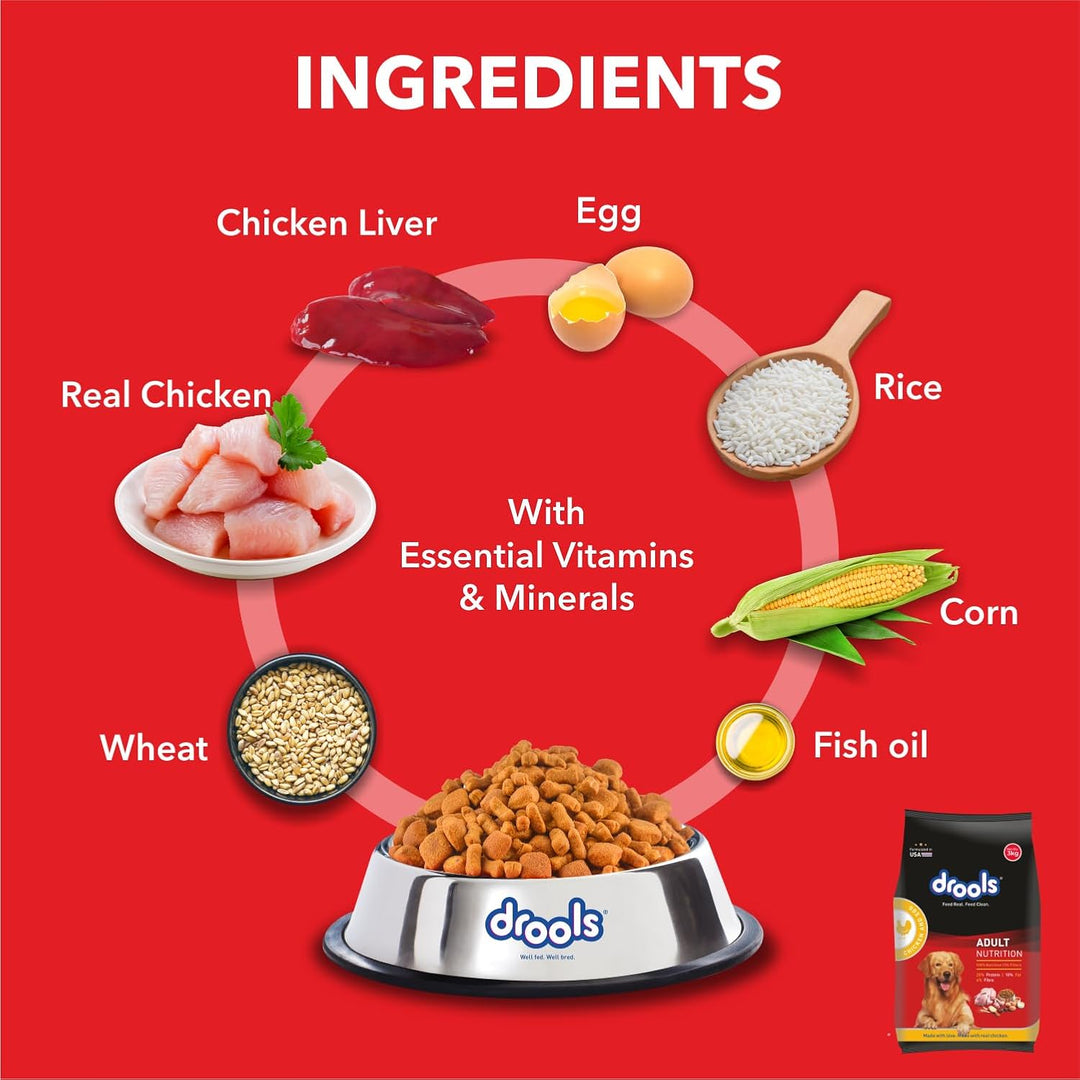 Drools Chicken and Egg Adult Dry Dog Food - 3kg