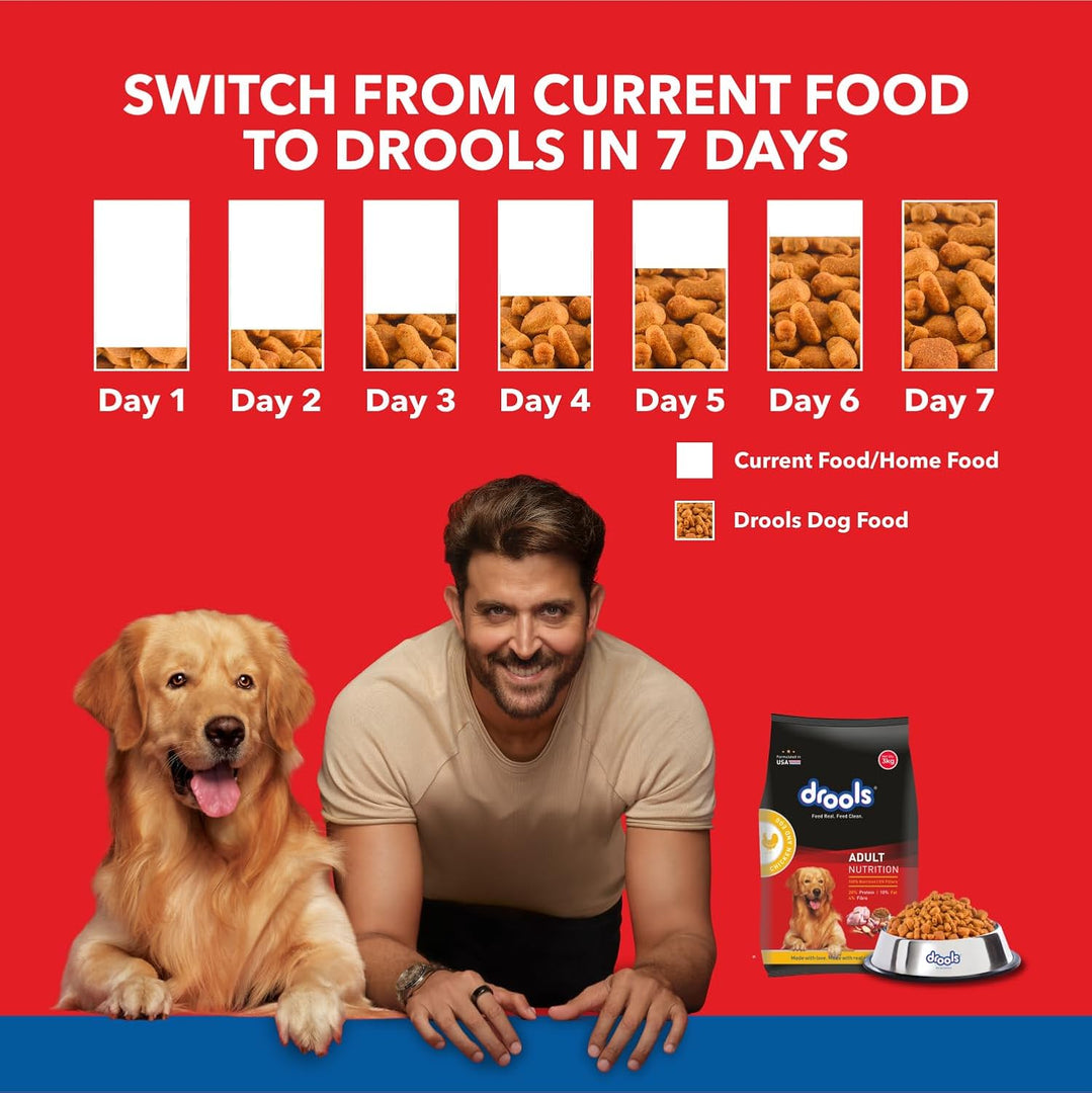 Drools Chicken and Egg Adult Dry Dog Food - 3kg