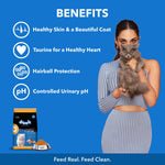 Load image into Gallery viewer, Drools Kitten Chicken Dry Food - 1.2Kg