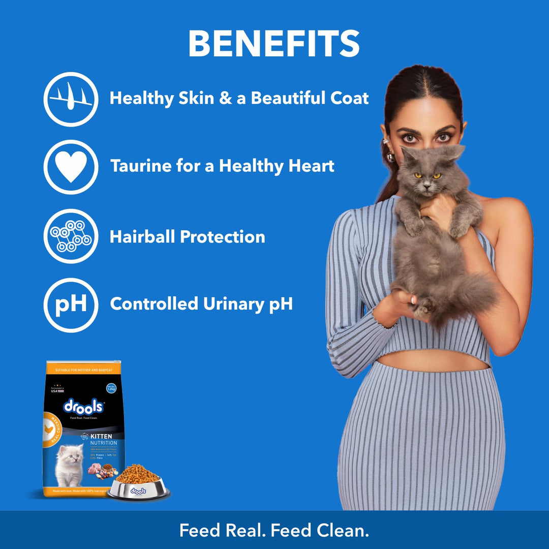 Drools Kitten Chicken Dry Food - 1.2Kg